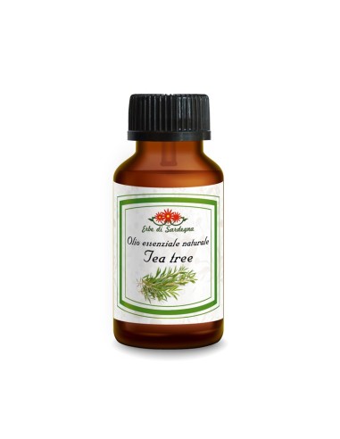 Olio Essenziale di Tea Tree – Naturale e Antisettico | Bioessenza.it